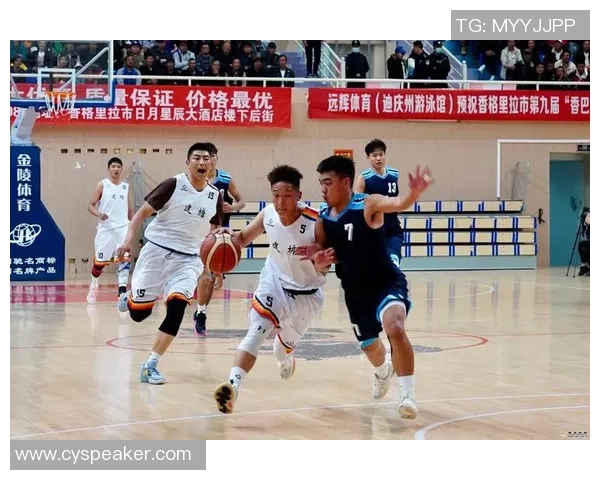 武汉篮球队篮球意识排行榜第九名展现团队实力与战术智慧